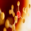Journal of New Developments in Chemistry - N-glycosyl oxazolines